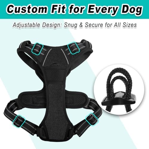 BARKBAY Dog Harness for Small Sized Dog No Pull 2 Leash Clips Dog Vest - Image 6