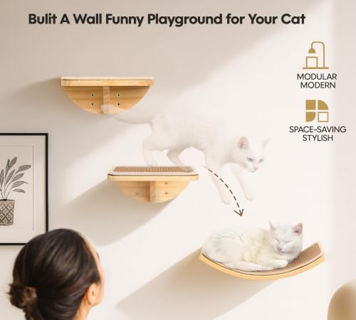 Cat Wall Shelves, Cat Window Perches - Image 6