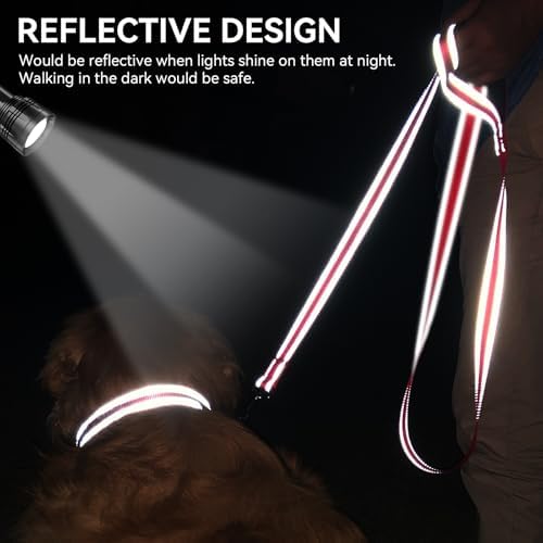 Joytale Reflective Dog Leash for Small Dogs, 4 FT x 3/4" - Image 4