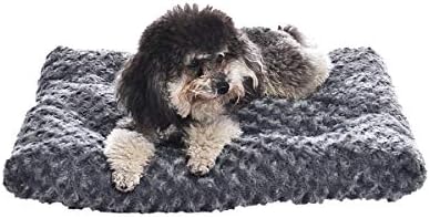 Amazon Basics Washable Cat and Dog Bed and Crate Pad by AmazonBasics