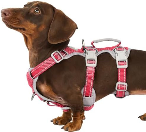 Huntboo No Escape Dog Harness, Escape Proof Harness, Fully Reflective Harness by Huntboo