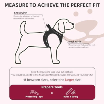 PUPTECK Dog Harness, Collar and Leash Set No Pull - Image 2