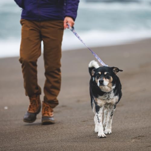 Ruffwear, Front Range Dog Leash, 5 ft Lead, Mountains Logo - Image 4