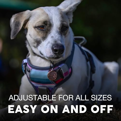 Embark No Pull Dog Harness, Reflective Adjustable Training Vest, No Choke - Image 4