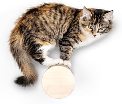 Wall-Mounted Cat Perch & Scratching Post by FurHaven