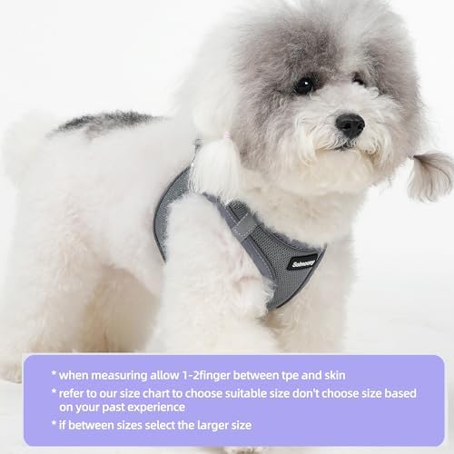 Solmoony Sparkly XS Dog Harness and Leash Set, Step in Soft Light Puppy Vest - Image 2