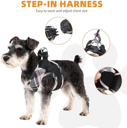 KOOLTAIL Small Dog Harness and Leash Set, Cute Puppy Harness, Step in No Pull - Image 4
