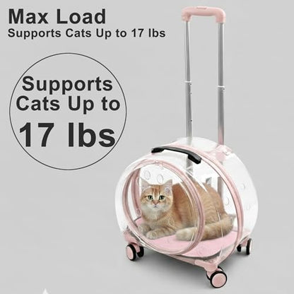 Transparent Hard Shell Cat Carrier - Image 2