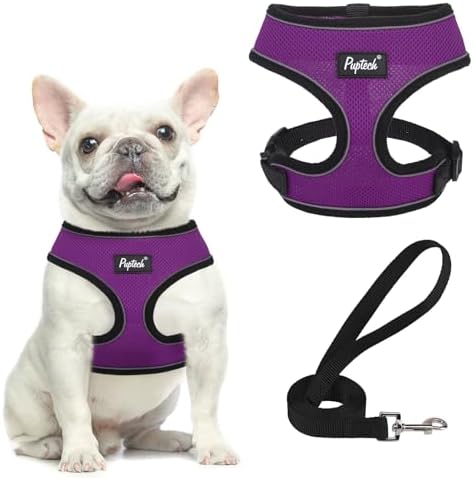 PUPTECK Small Dog Harness and Leash Set No Pull by PUPTECK