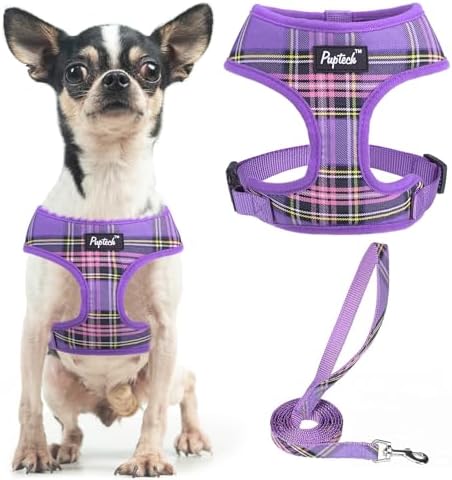 PUPTECK Small Dog Harness and Leash Set No Pull by PUPTECK