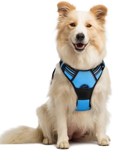 rabbitgoo Dog Harness, No Pull Medium Sized by rabbitgoo