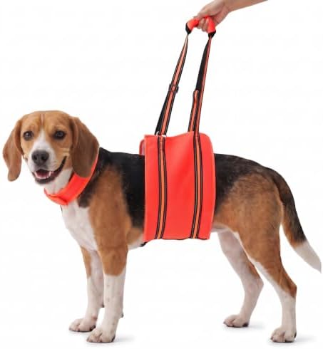 PAWsay Adjustable Dog Sling for Medium Dog Hind Leg Support by PAWsay
