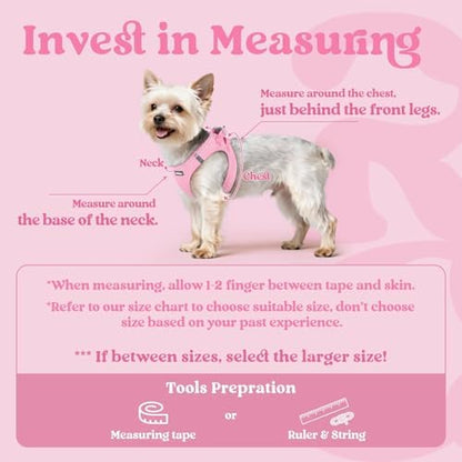 rabbitgoo Step-in Small Dog Harness, Puppy Vest - Image 2