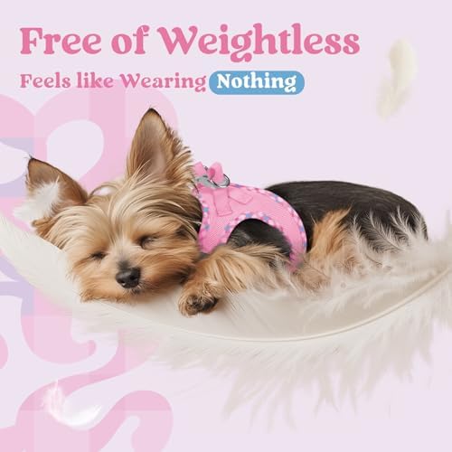 rabbitgoo Step-in Small Dog Harness, Puppy Vest - Image 5