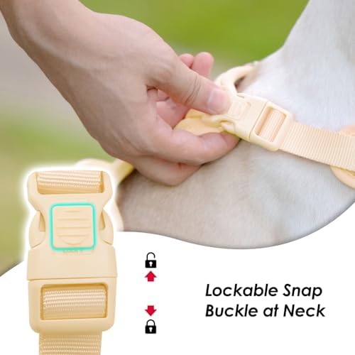 Sunraymascota No Pull Dog Harness - Image 2