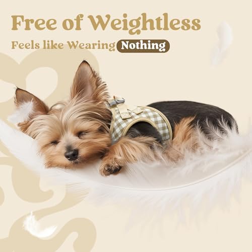 rabbitgoo Step-in Small Dog Harness, Puppy Vest - Image 5