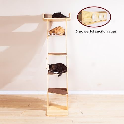 Modern 70“ Tall 6 Level Leaning Cat Climbing Ladder Tree Tower Condo - Image 2