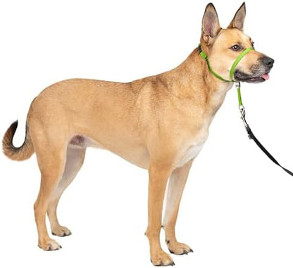 PetSafe Gentle Leader No Pull Dog Headcollar, Apple Green by PetSafe