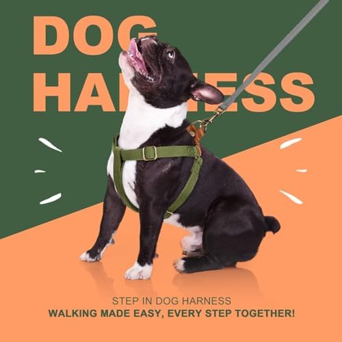 Didog Step in Dog Harnes for Medium Dogs, Chest 19-28" - Image 5