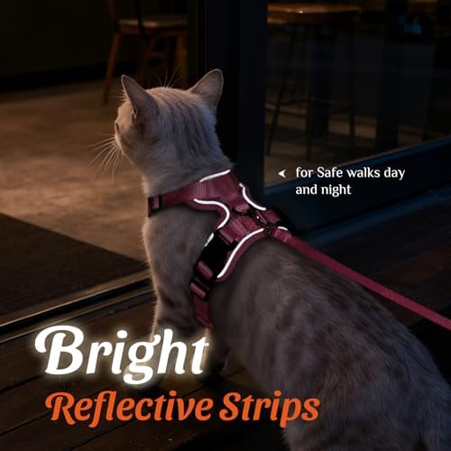 Dooradar Cat Harness and Leash Set, Adjustable and Escape Proof - Image 5
