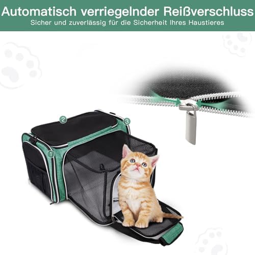 BAGLHER Expandable Cat Carrier - Image 4
