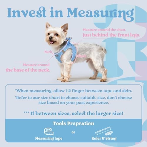 rabbitgoo Step-in Small Dog Harness, Puppy Vest - Image 2