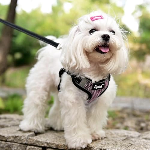 PUPTECK Dog Harness and Leash Set Small Sized, Step in No Pull Adjustable Puppy - Image 5