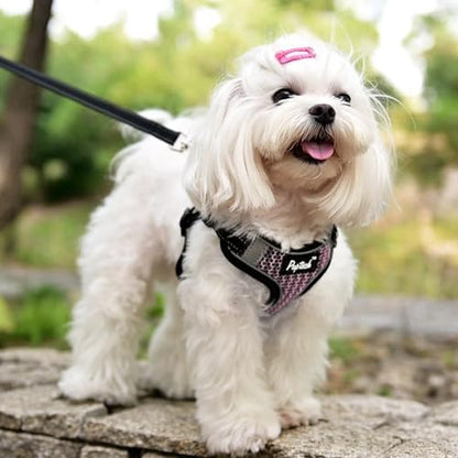 PUPTECK Dog Harness and Leash Set Small Sized, Step in No Pull Adjustable Puppy - Image 5