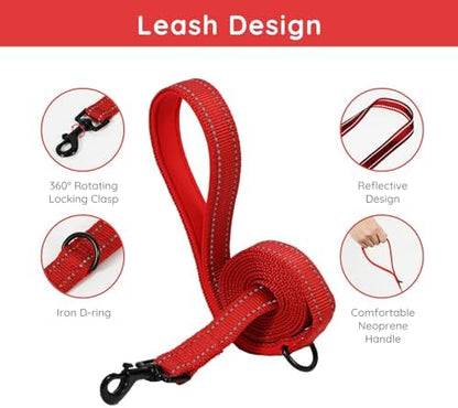 BELLA & PAL Step in Puppy Harness and Leash Set - Image 3