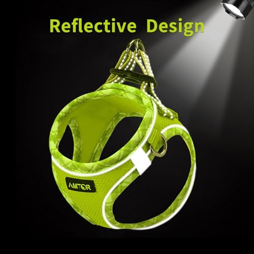AMTOR Small Dog Harness with Leash Set, No Escape Easy Walk Puppy Harnesses - Image 3