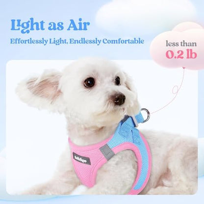 rabbitgoo Dog Harness Medium Sized and Leash Set, Step-in Puppy Pet Vest - Image 4