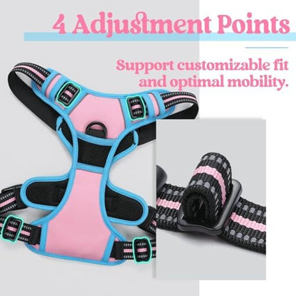 rabbitgoo Dog Harness, No Pull for Small Dogs - Image 3
