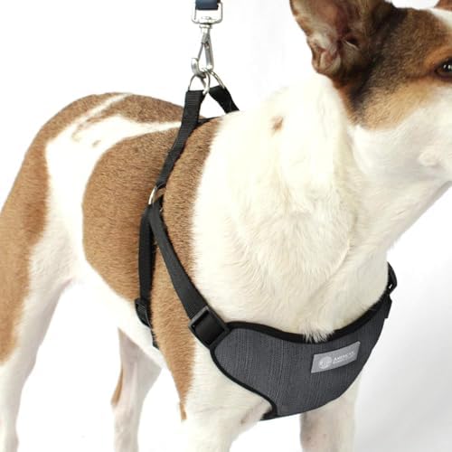 AKC Striped Step-in Dog Harness – No Pull Adjustable Vest - Image 4