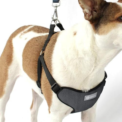 AKC Striped Step-in Dog Harness – No Pull Adjustable Vest - Image 4