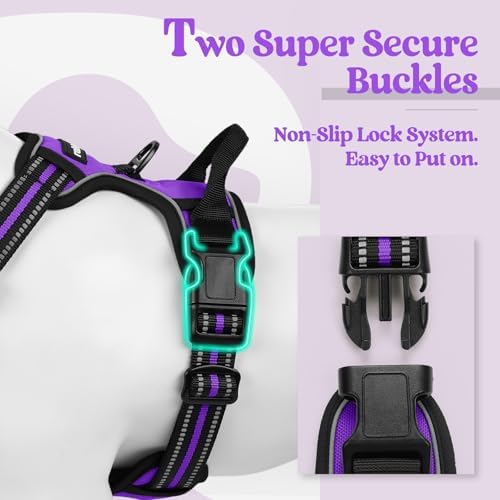rabbitgoo Dog Harness, No-Pull Pet Harness - Image 3