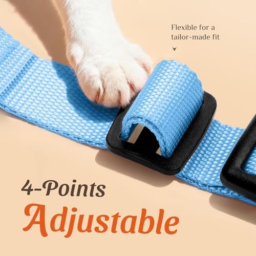 Dooradar Cat Harness and Leash Set, Adjustable and Escape Proof - Image 3
