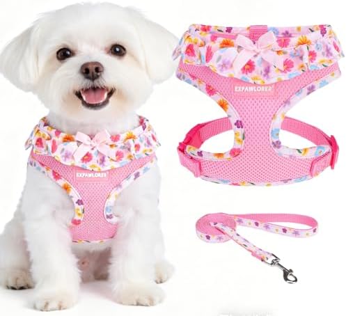 EXPAWLORER Step-in Dog Harness Small Sized and Leash Set by EXPAWLORER