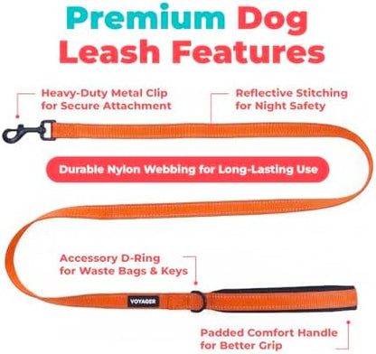 Best Pet Supplies Voyager Nylon Dog Leash - Image 2