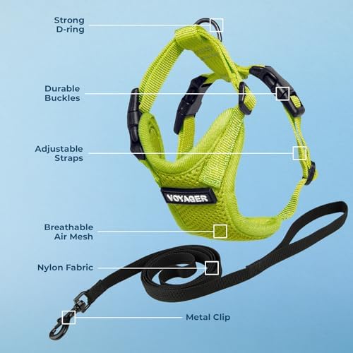 Voyager Step-in Lock Cat Harness & Leash Set - Image 3