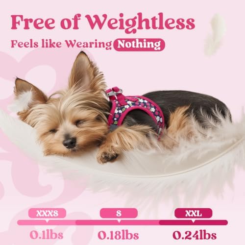 rabbitgoo Step-in Small Dog Harness, Puppy Vest - Image 4