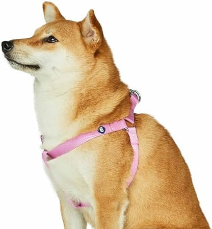 Blueberry Pet Essentials Step-in Dog Harness, Large Size | Adjustable Fuchsia by BlueberryPet