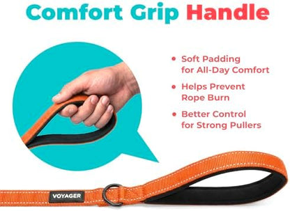 Best Pet Supplies Voyager Nylon Dog Leash - Image 5