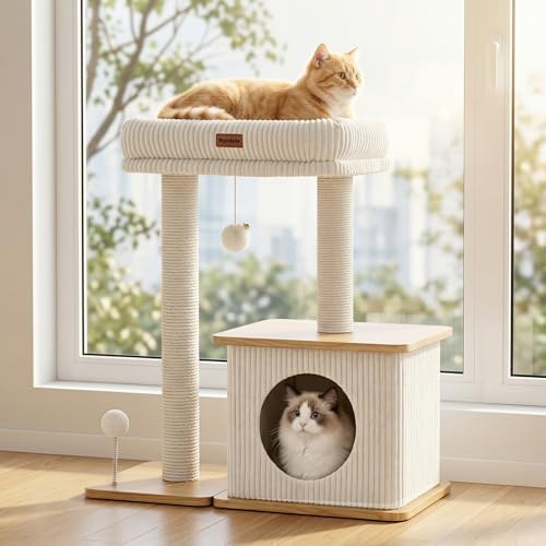 Small Cat Tree for Indoor Kittens by Purrlato