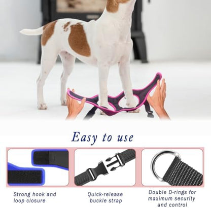 Comfort Fit No Pull Dog Harness – Adjustable Step-in Vest - Image 5