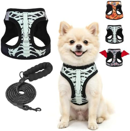 BEAUTYZOO Halloween Dog Harness Medium Sized and Leash Set, No Pull Pet Vest by BEAUTYZOO
