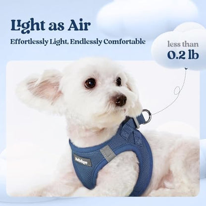 rabbitgoo Dog Harness Medium Sized and Leash Set, Step-in Puppy Pet Vest - Image 3