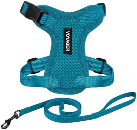 Voyager Step-in Lock Cat Harness & Leash Set by BestPetSuppliesLLC