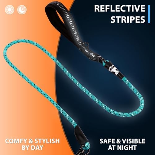SparklyPets Double Dog Bungee Rope Leash - Image 7