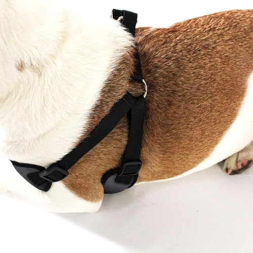 AKC Striped Step-in Dog Harness – No Pull Adjustable Vest - Image 2