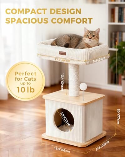 Small Cat Tree for Indoor Kittens - Image 2
